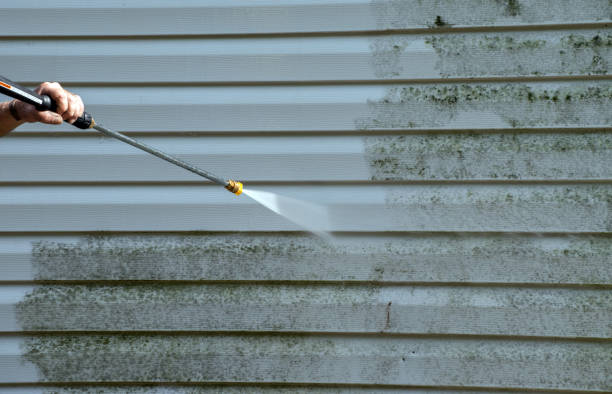 Best Residential Mold Remediation in La Nte, MO