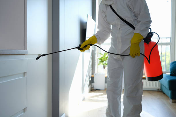 Best Bathroom Mold Remediation in La Nte, MO