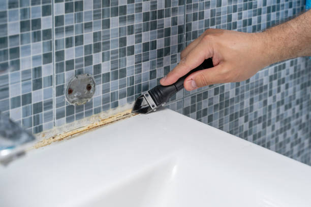 Best Mold Remediation for Schools in La Nte, MO